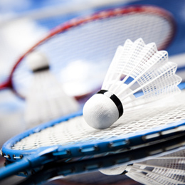 Postzegels
van het thema Badminton
'
Postzegels
van het thema Badminton
'