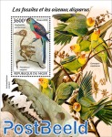 fossils and extinct birds