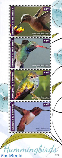 Hummingbirds 4v m/s