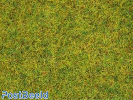 Scatter Grass ~ Summer Meadow 2,5mm (20g)