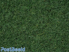 Scatter Grass ~ Marsh Soil 2,5mm (20g)