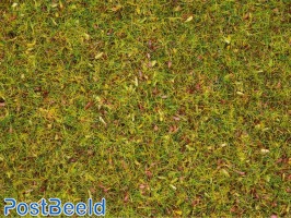 Scatter Grass ~ Flower Meadow 2,5mm (20g)