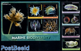 Marine bio diversity 8v (4v+m/s)