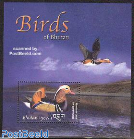 Birds s/s