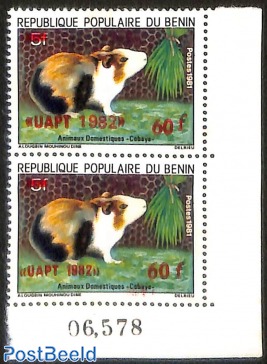 guinea pig, series