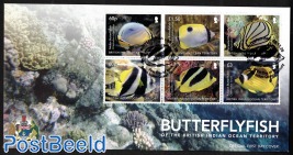 Indian Butterflyfish 6v m/s