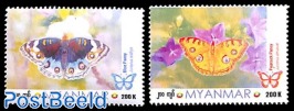 Butterflies 2v