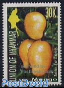 Mango 1v
