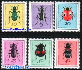 Beetles 6v
