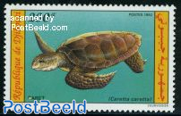 Sea turtle 1v