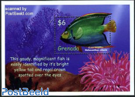 Blue emperor fish s/s