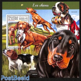 Saint Bernard, dogs