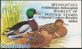 Ducks booklet