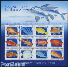 Marine life of St. Helena 12v m/s