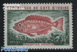 Fish (Priacanthus arenatus)
