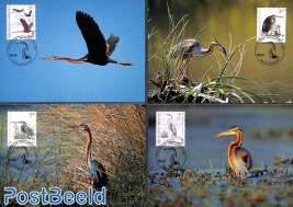 WWF, Birds 4v