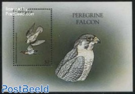 Peregrine Falcon s/s