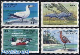 Birds 4v