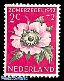 2+2c, Dune rose, Stamp out of set