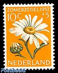 10+5c marguerite