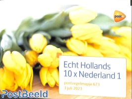 Echt Hollands 10v, presentation pack 673