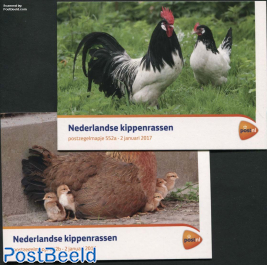 Chicken, presentation pack 552a+b