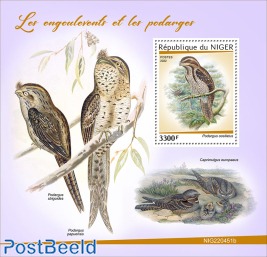 Nightjars and frogmouths