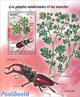 Medical plants and insects