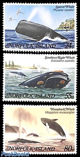 Whales 3v
