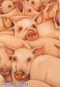 'Pigs'