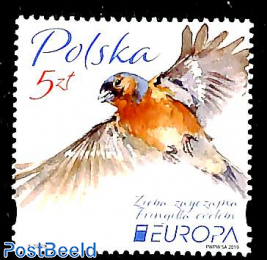 Europa, birds 1v