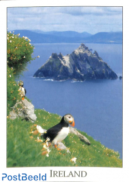 Puffin Ireland