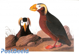 J.J. Audubon, Tufted Puffin