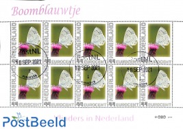 Boomblauwtje m/s, used