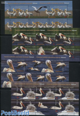 Pelicans 4 m/s