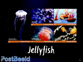 Jellyfish 5v m/s