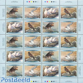 Birds m/s (with 5 sets)