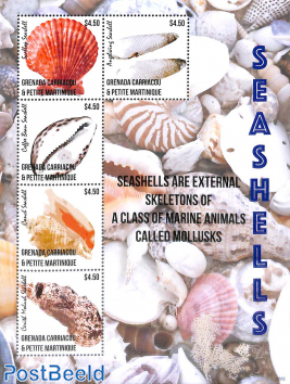 Seashells 5v m/s