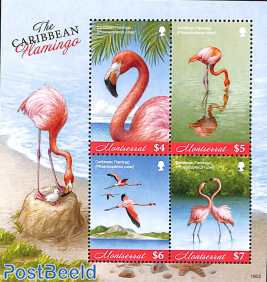 Caribbean flamingo 4v m/s