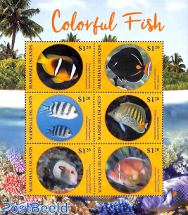 Colourful Fish 6v m/s