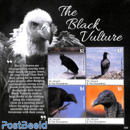 Black Vulture 4v m/s