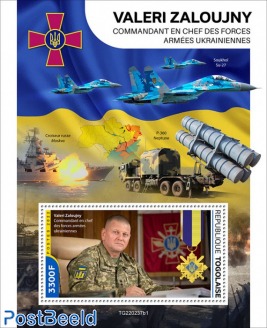 Commander-in-Chief of the Ukrainian Air Force Valerii Zaluzhnyi 