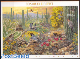Sonoran desert 10v m/s