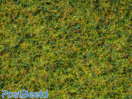 Master Grass Blend ~ Cow Pasture 2,5-6mm (50g)
