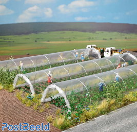 Clear Plastic Plant Tunnels