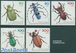 Youth, beetles 5v