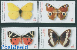 Welfare 4v, butterflies