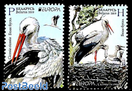 Europa, birds 2v