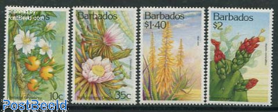 Cactus flowers 4v