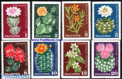 Cactus flowers 8v